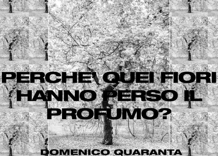 AltText